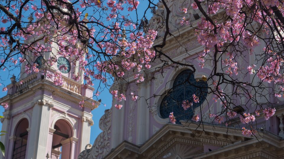Legado Mítico Salta | Salta en primavera: paisajes, sabores y experiencias al aire libre.