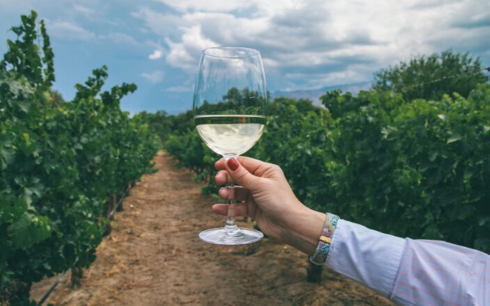 Torrontés y vinos de altura en Salta | Legado Mítico Salta