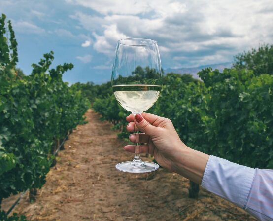 Torrontés y vinos de altura en Salta | Legado Mítico Salta